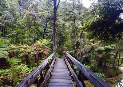 Hiking bridge on the Abel Tasman Coast Track