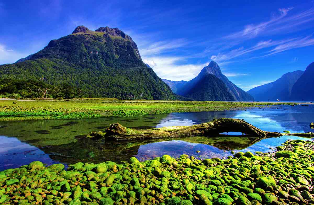 A visit to mitre peak, milford sound, log, reflective water