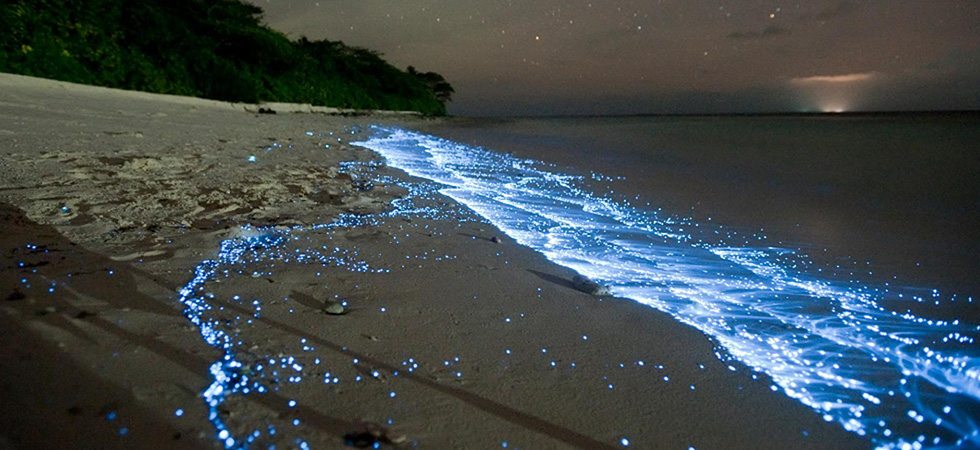 Glowing phosphuressence on a beach at night time