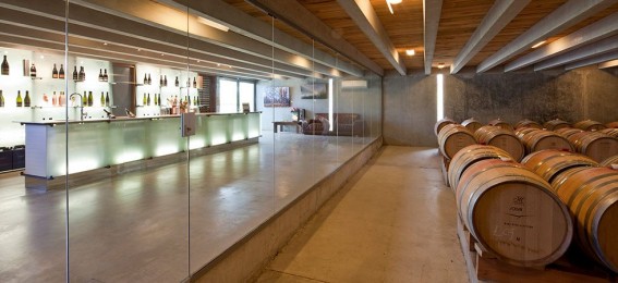 Wine barrels, glass dividing wall, and LED lit wine bar