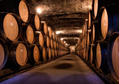 Gibbston Valley Wine Cellar