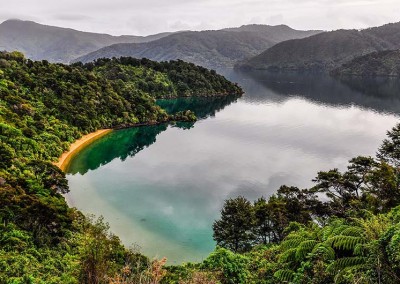 Views on the Queen Charlotte Track