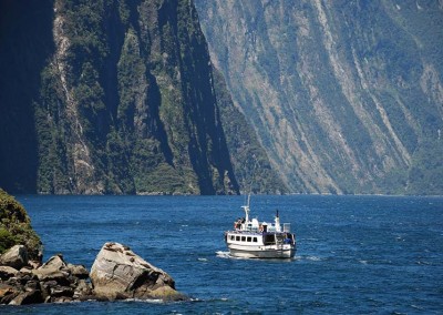 Milford Sound nature cruise