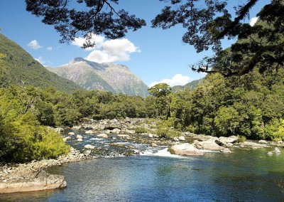 Milford Track River