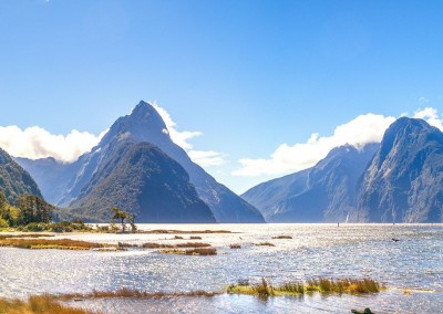 Discover Milford Sound on the Pristine New Zealand Trip