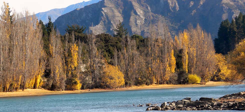 Best time to visit new zealand