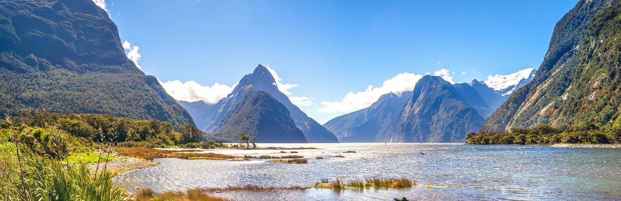 Milford Sound | New Zealand Walking Tours